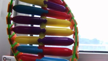 Fairfax Collegiate: Genetics course