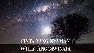 Cinta Yang Nyaman ( Cover By : Willy Anggawinata )