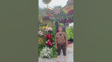 Ở xa em có tính thêm phí vận chuyển ạ / cổng cưới rồng phụng #congcuoimientay #wedding