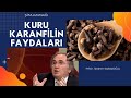 KARANFİLİN FAYDALARI / Karanfil Nelere Faydalı
