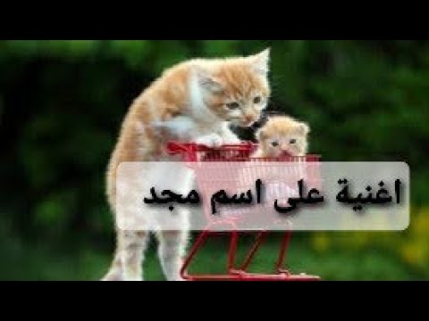 اغنية مجد اجمل اغنية علي اسم مجد