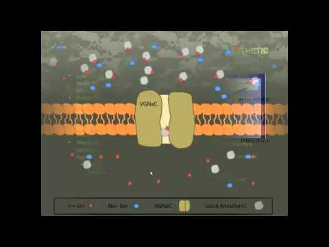 Video: Bupivacaine - Instruktioner Til Brug Af Løsningen, Pris, Analoger, Anmeldelser