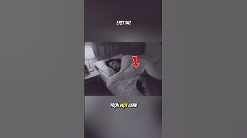 Khó đỡ cảnh Mèo tha chuột tặng sen. #dongvat