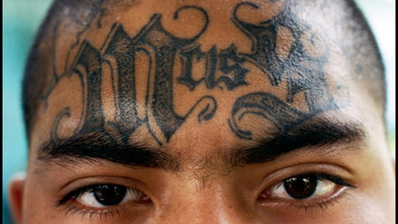 Download MS-13 gang slipped into Mendota, brought immense violence