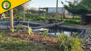 Nettoyage Du Petit Bassin