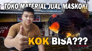 UNIK!!! TOKO MATERIAL JUALAN MASKOKI, PALUD KOI DIALIHKAN UNTUK KEEPING GOLDFISH | WIL GOLFISH