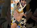 Trying Taiyaki Ice Cream in Chinatown #london #icecream #taiyaki #shorts #chinatown #uk