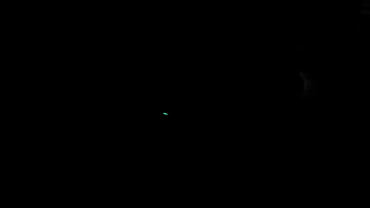 flashlight fish in 280 sales reef