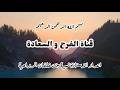 ومضات قرآنية 13