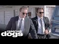 Mr. Orange Gets Shot Transferring Getaway Cars | Reservoir Dogs