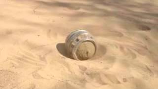 Ultimate Amphibious Spherical robot