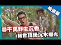 【寮國】尋找木中黃金野生沉香 稀世頂級沉水曝光｜《世界第一等》602集精華版