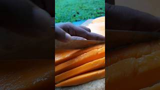 පැණි බේරෙන අඹ කන්න එන්න ?mango villagetraditionalfoods traditionalcooking fruit