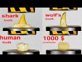 HYDRAULIC PRESS VS ANIMAL AND HUMAN TEETH