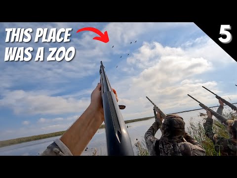 Duck Hunting 2022 | Extremely Overcrowded Public Land (NC Opening Day)