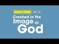 The Hidden Tree: A Sneak Peek into Created In The Image of God 97