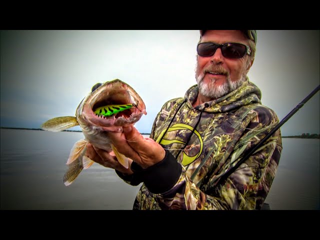 Lipless Crankbaits Walleye, Fish Lipless Crankbaits