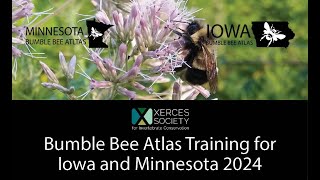 Bumble Bee Atlas Training for Iowa and Minnesota 2024