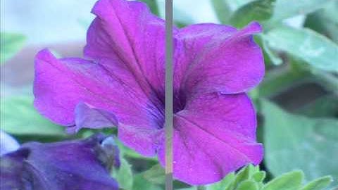 Panasonic Lumix DMC FZ70 / FZ72 Sample Photos (High Zoom autofocus)