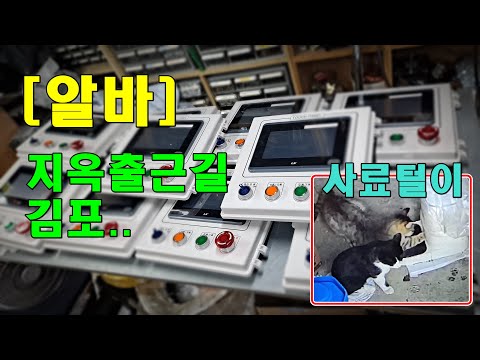 [알바] 서울행,사료 털어먹는길냥이