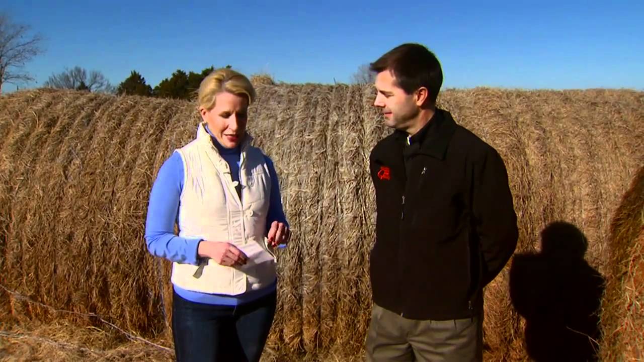 Hay Waste Research