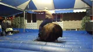 Taureau Mecanique Stephane Audet