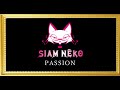 PASSION『SIAMSHADE バンドコピー』