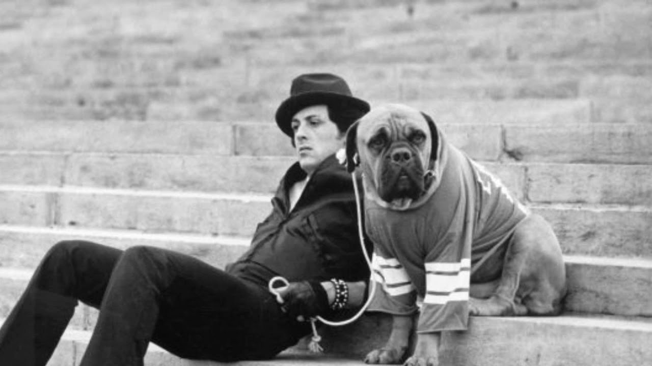 An Inspiring Story About Sylvester Stallone - YouTube