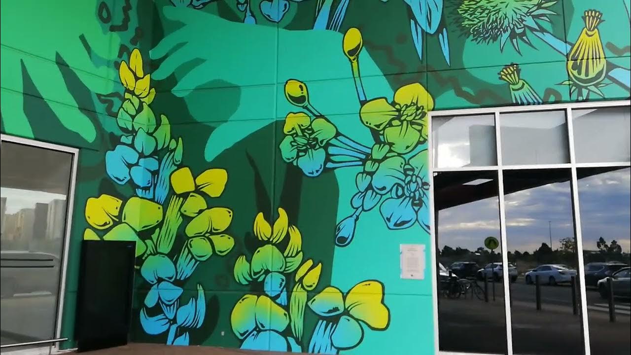 Street Art Near Me 217 YouTube