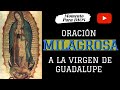 ORACIÓN a la VIRGEN de Guadalupe para pedir un MILAGRO URGENTE  (PODEROSA )