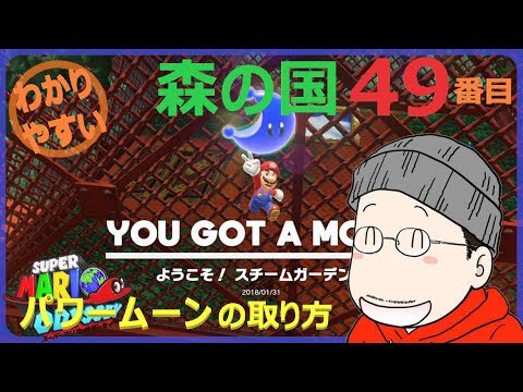 スーパーマリオ オデッセイ & あつまれ どうぶつの森 スーパーマリオ オデッセイ あつまれどうぶつの森 他 あつまれ