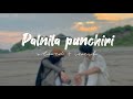 Palnila punchiri slowed reverb  palnila punchiri  malayalam song slowed reverb  musikova 