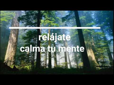 Música de relajación profunda - Refugio Sublime ft. Música Relajante &  Sonidos Naturaleza MP3 Download & Lyrics