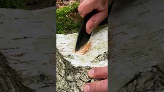 Survival Skills Creating FIRE ? with Foil and Battery. survival outdoors camping bushcraft