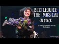 Beetlejuice the musical on crack  one year memoriam of sophia leaving