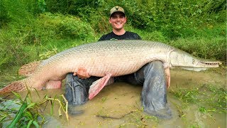 MONSTER Alligator Gar Fishing in Texas!!! (EPIC) MONSTER Alligator Gar Fishing in Texas!!! (EPIC)