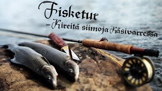 TAIMENEN JA HARJUKSEN KALASTUSTA LAPISSA (ENG SUBS)  Trout and Grayling Fishing in Lapland
