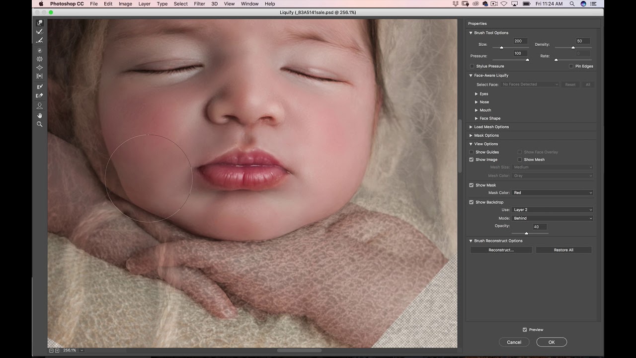face insert demo using the Liquify tool in cc YouTube