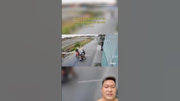 khi hổ báo gặp phải hổ thật và cái kết #shorts #vanhoagiaothong