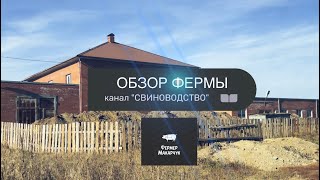 видео: ‼️Обзор фермы картинка: ‼️Обзор фермы