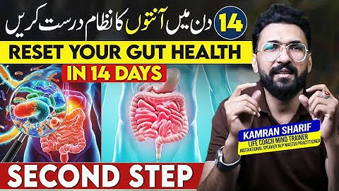 My Diet Plan - 14 Days Gut Plan Second Step By Kamran Sharif