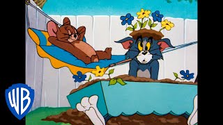 Tom et Jerry en Français | La résolution de Nouvelle Année | WB Kids