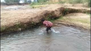 nyangumi kashikwa na mtoto