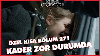 Kırgın Çiçekler Özel Kısa Bölümler | 271