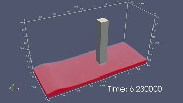 The video of Arnason(2005)