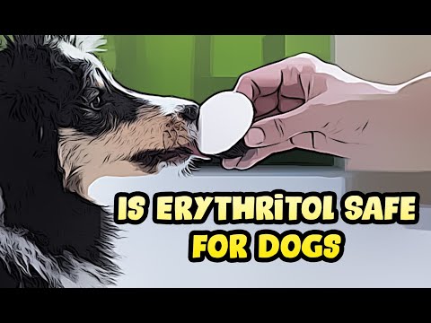 How Much Erythritol Is Bad For Dogs Bikehike How Much Erythritol Is Bad For Dogs Bikehike