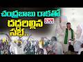 చంద్రబాబు రాకతో దద్దరిల్లిన సభ.. | CM Chandrababu In AnnadataSukhibhava Program | CVR News