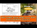 Let Your Children Read Comics to Learn K-12 SCHOOL Science Topics