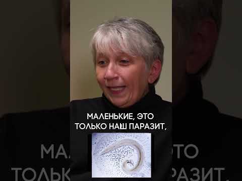 Why Does Anal Itching Occur