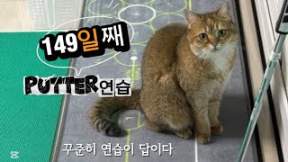 🐈149일째 Golf 퍼팅연습 꾸준함 성장